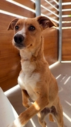 KIARA (LUA) Imagen 4